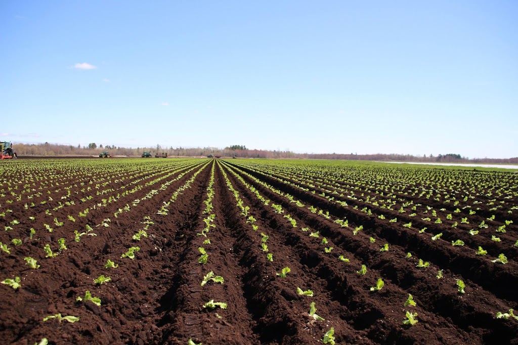 Jardins FMS | 298 Rang Sainte-Mélanie, Sherrington, QC J0L 2N0, Canada | Phone: (450) 454-6499