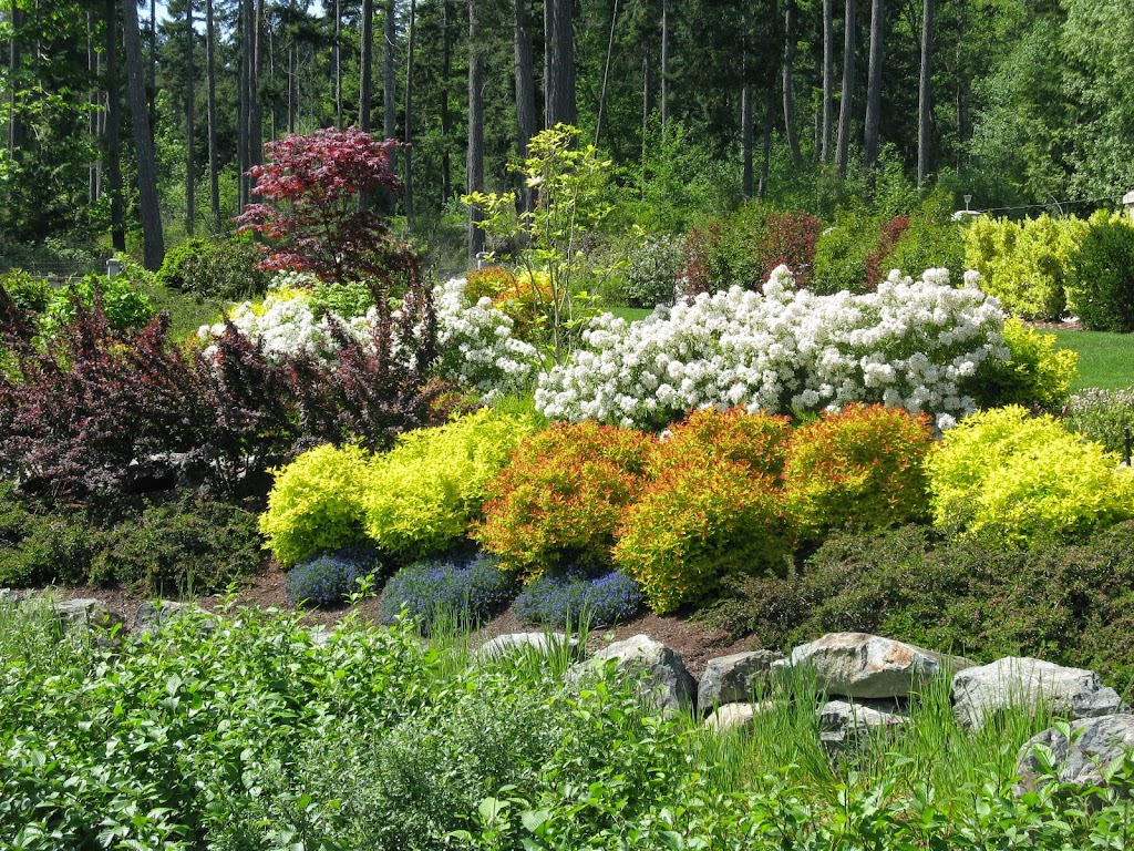 Garden Design By Sue Baran | 180 Malaspina Dr, Gabriola, BC V0R 1X1, Canada | Phone: (250) 247-0156