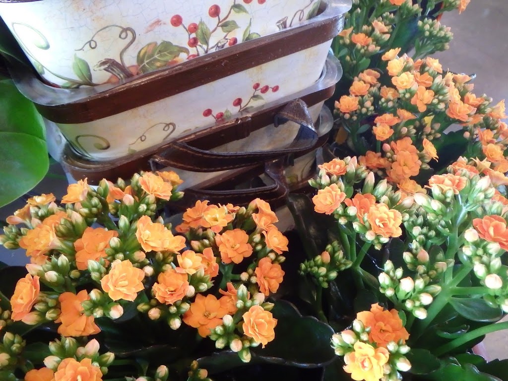 Armstrong Flower & Gift Shoppe | 3105 Smith Dr, Armstrong, BC V0E 1B0, Canada | Phone: (250) 546-8771