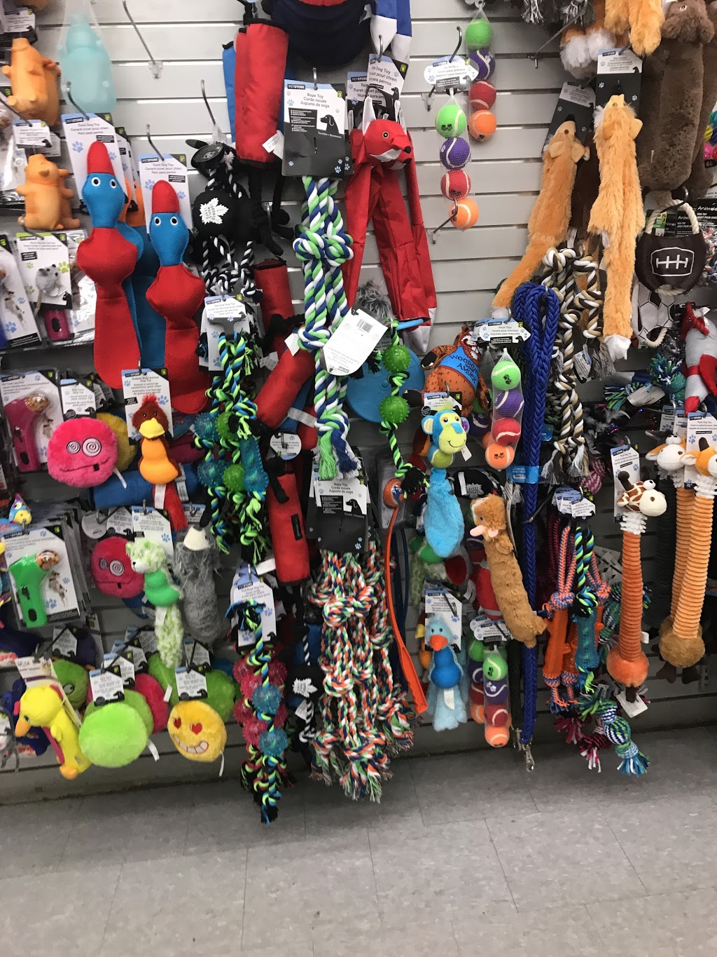 Dollarama | Eagles Landing Shopping Mall, 1400 Major MacKenzie Dr W, Maple, ON L6A 4H6, Canada | Phone: (905) 417-4397