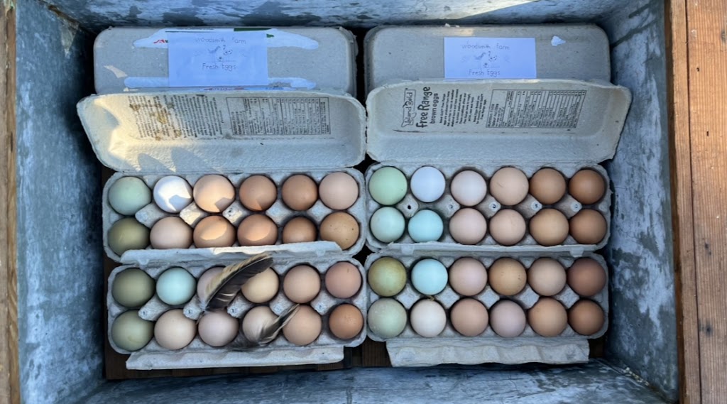 Woodsmith Farm | 10215 Tsaykum Rd, North Saanich, BC V8L 5T6, Canada | Phone: (250) 514-9347