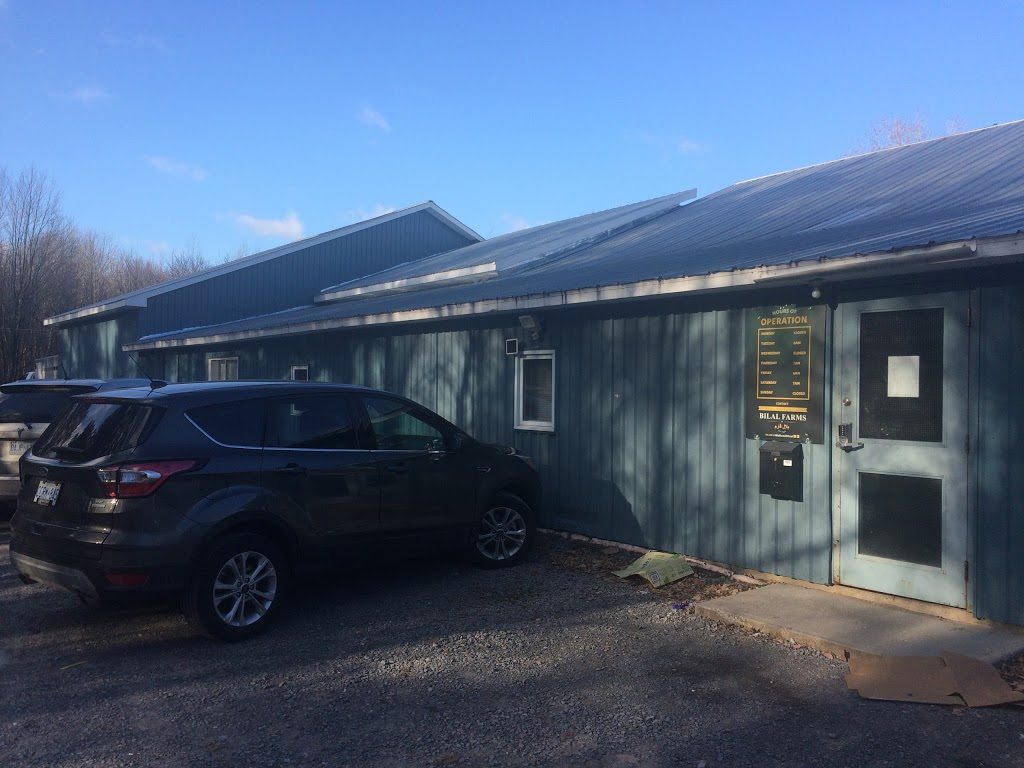 Bilal Farms | 1926 Landry St, Clarence Creek, ON K0A 1N0, Canada | Phone: (613) 796-8604