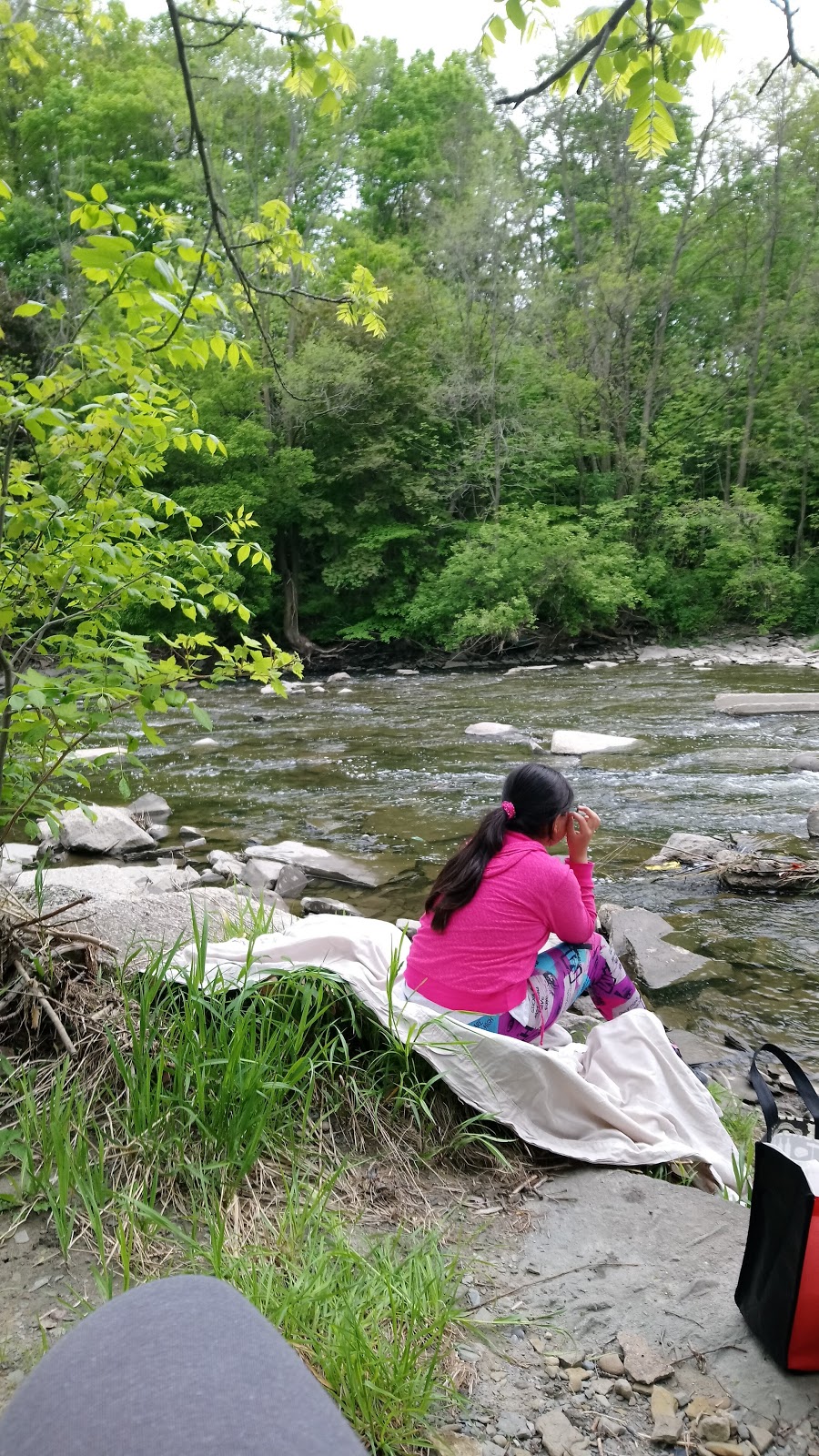 Etobicoke Valley Park | 615 Horner Ave, Etobicoke, ON M8W 2E1, Canada | Phone: (416) 393-4636