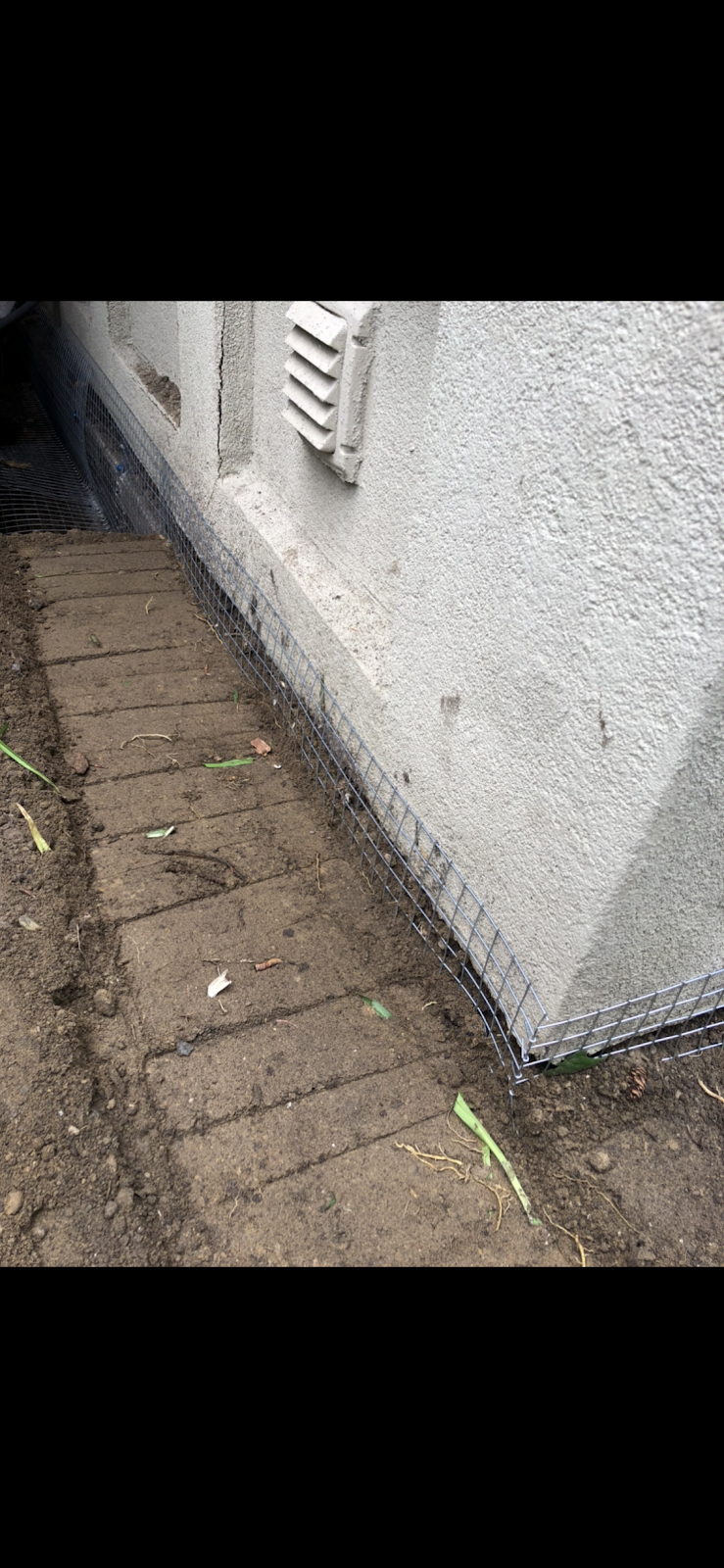 Speedy Pest Control | 1606 Otterby Rd, Mississauga, ON L4X 1W7, Canada | Phone: (647) 965-2048