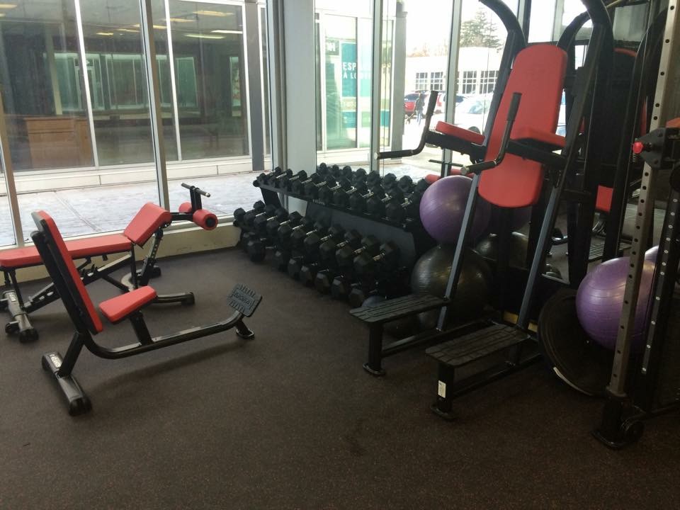 Shawn haney Personal Training | 40i St-Charles Beaconsfield plaza, Beaconsfield, QC H9W 5Z6, Canada | Phone: (514) 812-4752