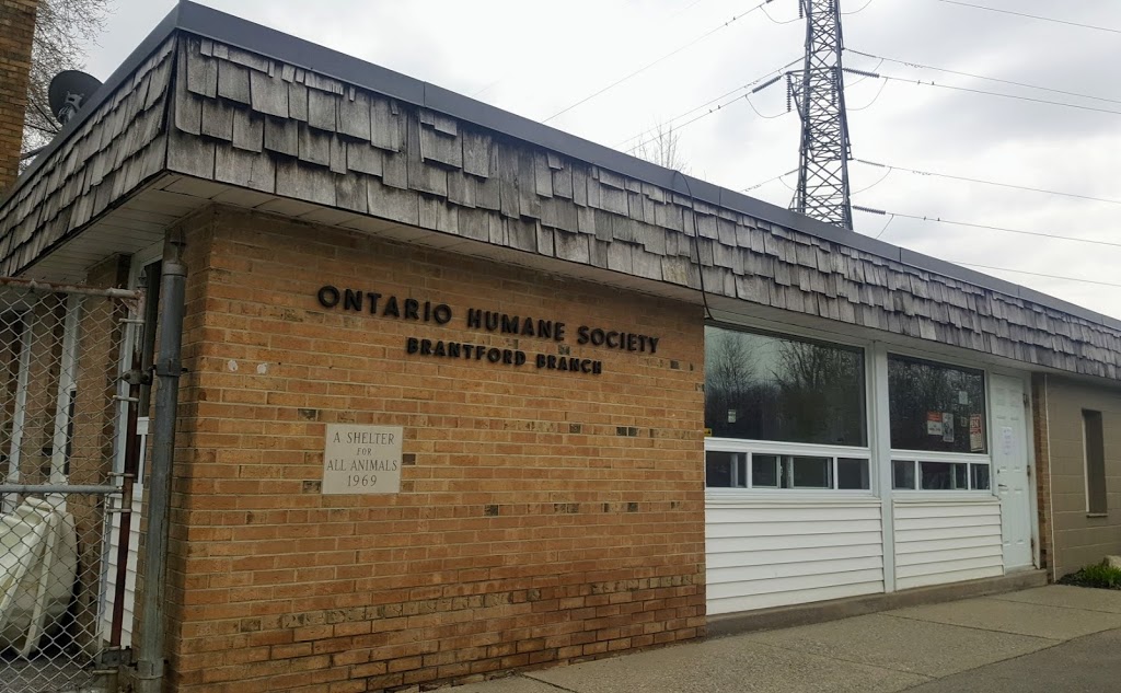 Brant County SPCA | 539 Mohawk St, Brantford, ON N3T 5M8, Canada | Phone: (519) 756-6620