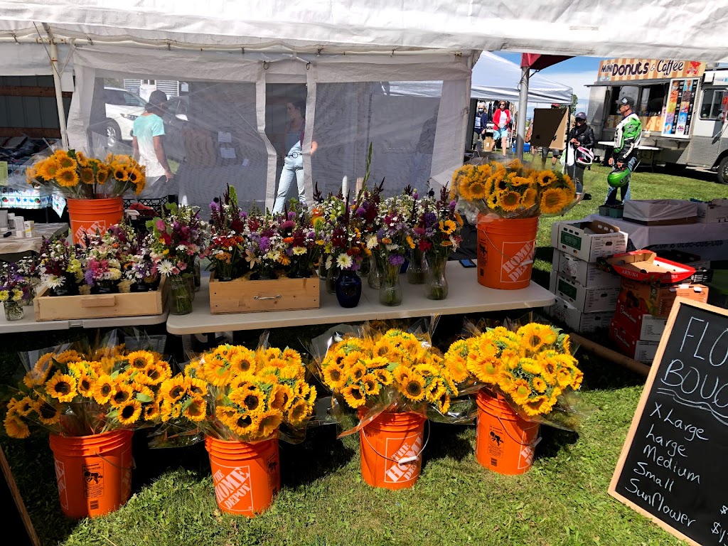 Okotoks Farmers Market | 322041 15 St E, De Winton, AB T0L 0X0, Canada | Phone: (403) 992-9044