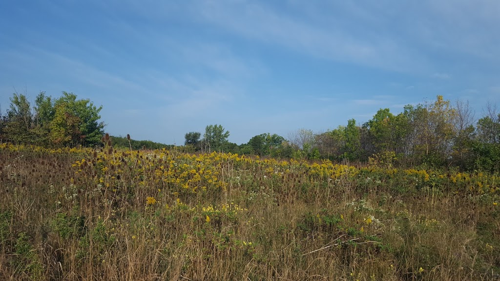 Springbank Meadows Park | 2210 Springbank Rd, Mississauga, ON L5H 3N5, Canada