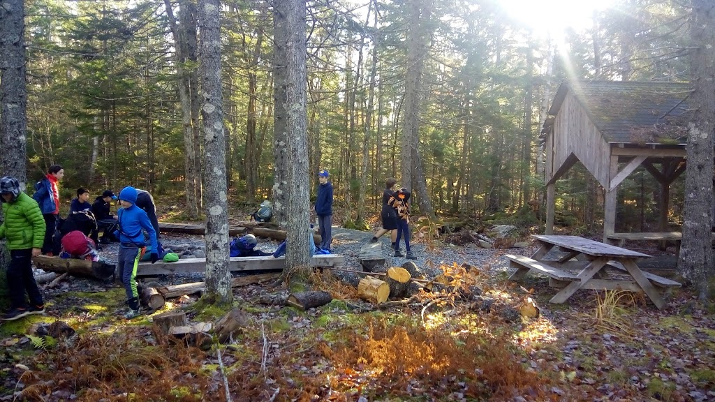 Harold T Barrett Fun Forest Camp | 1901 Beaver Bank Rd, Beaver Bank, NS B4G 1E1, Canada | Phone: (902) 864-9073