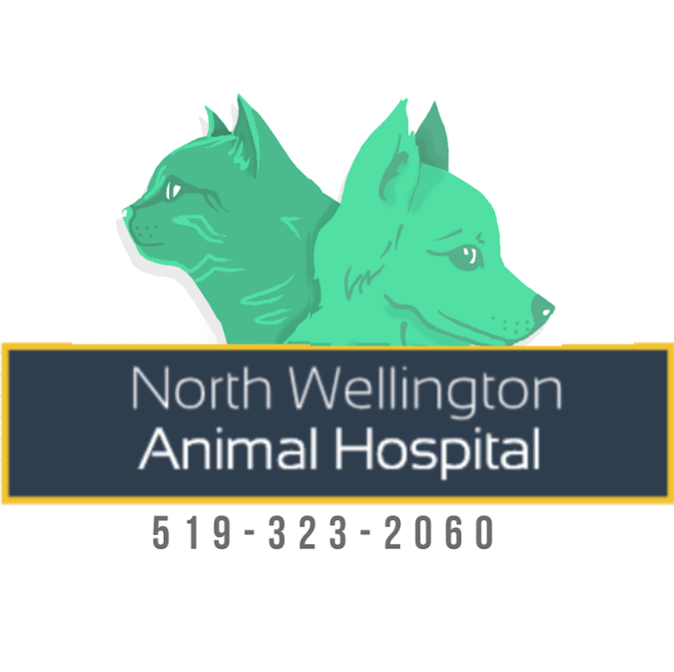 North Wellington Animal Hospital | 248 Main St S, Mount Forest, ON N0G 2L2, Canada | Phone: (519) 323-2060