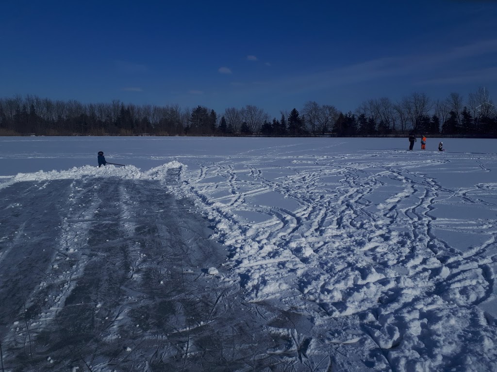 C.M. Wilson Conservation Area | 21799 Fargo Rd, Blenheim, ON N0P 1A0, Canada | Phone: (519) 354-7310