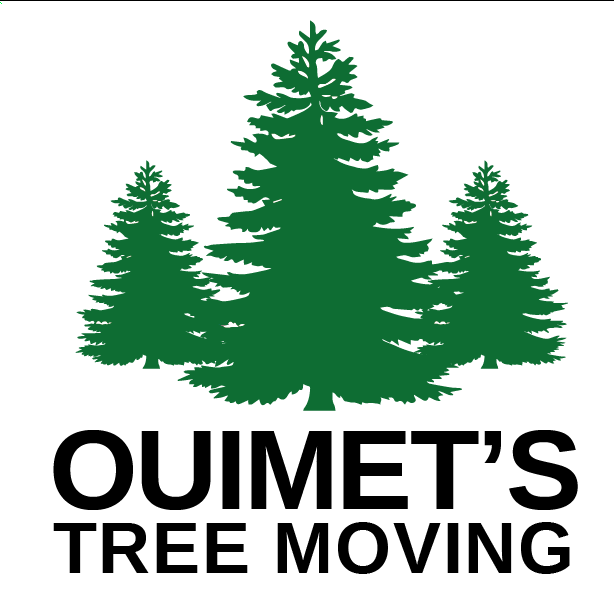 Ouimets Tree Moving & Tree Sales | 15 Orlando Dr, St. Albert, AB T8N 6V9, Canada | Phone: (780) 918-5028