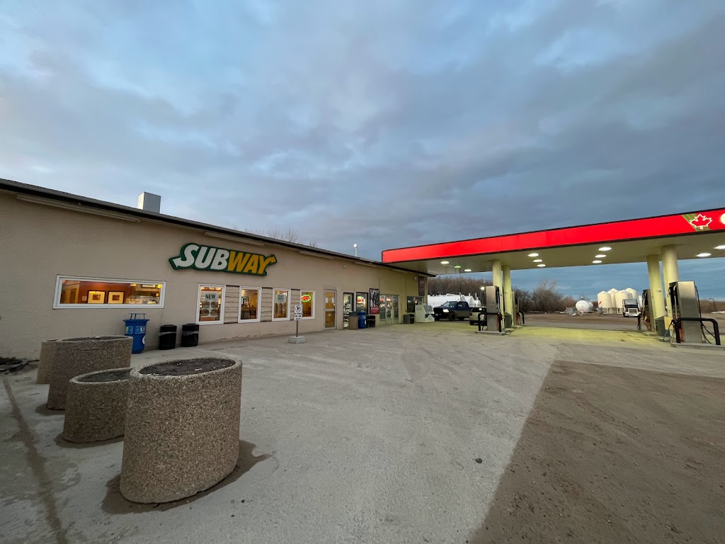 Homestead Co-op @ Austin Gas Bar | 66150 Tower Line Rd, Austin, MB R1N 3B3, Canada | Phone: (204) 637-3065