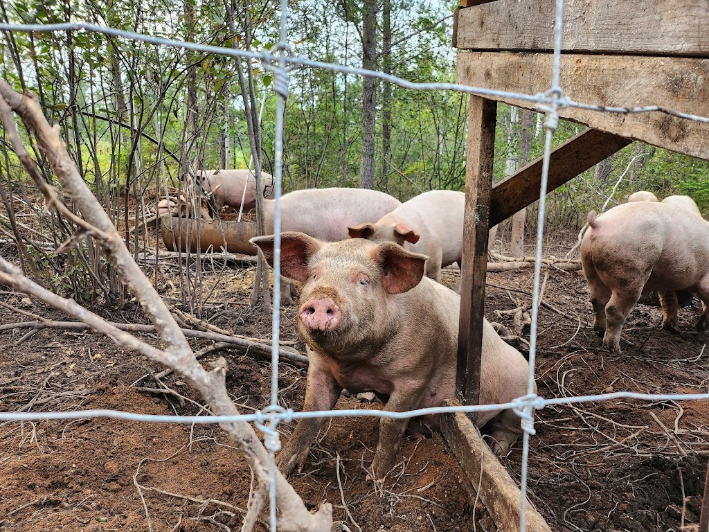 Le Ranch à Pinard | 4450 Rue des Pins, Saguenay, QC G7P 0H8, Canada | Phone: (418) 290-0866