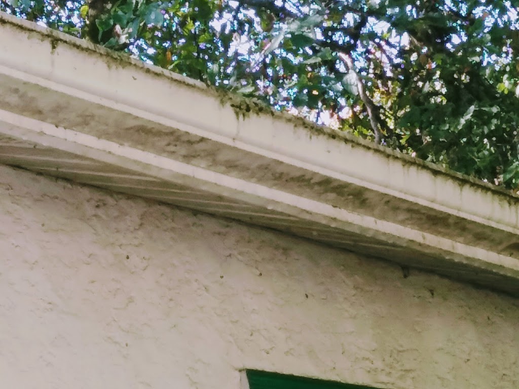 K & S CLEANING SYSTEMS & ROOF DEMOSSING/ TREATMENTS | 3065 Allenby Rd, Sahtlam, BC V9L 6W5, Canada | Phone: (250) 748-9498