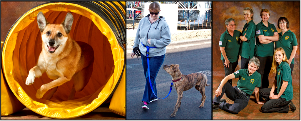 Cowichan Canine Behaviour & Training Ltd | 1462 Mile End Rd, Cobble Hill, BC V0R 1L5, Canada | Phone: (250) 929-1400