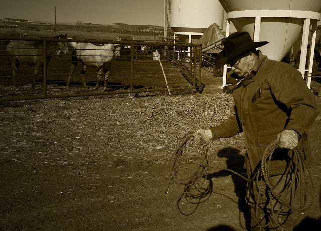Rolyn Hills B&B and Guest Ranch | 26049 AB-595, Alberta T4E 0T8, Canada | Phone: (403) 347-0206