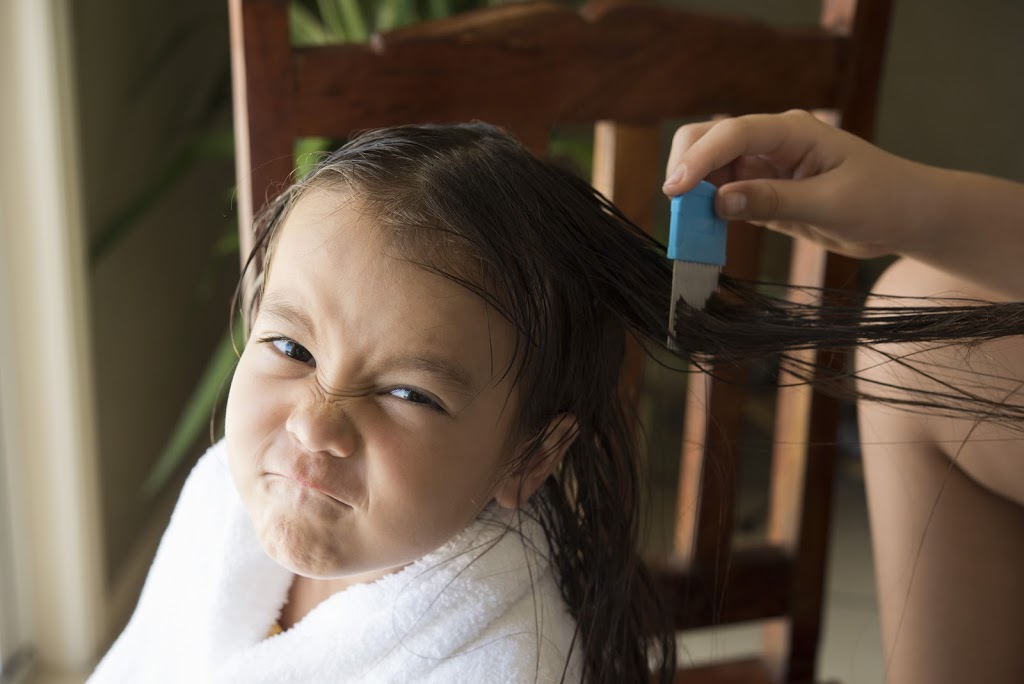 LICE BUSTERS TRICITY | 1821 Harbour St, Port Coquitlam, BC V3C 1A4, Canada | Phone: (778) 862-0724
