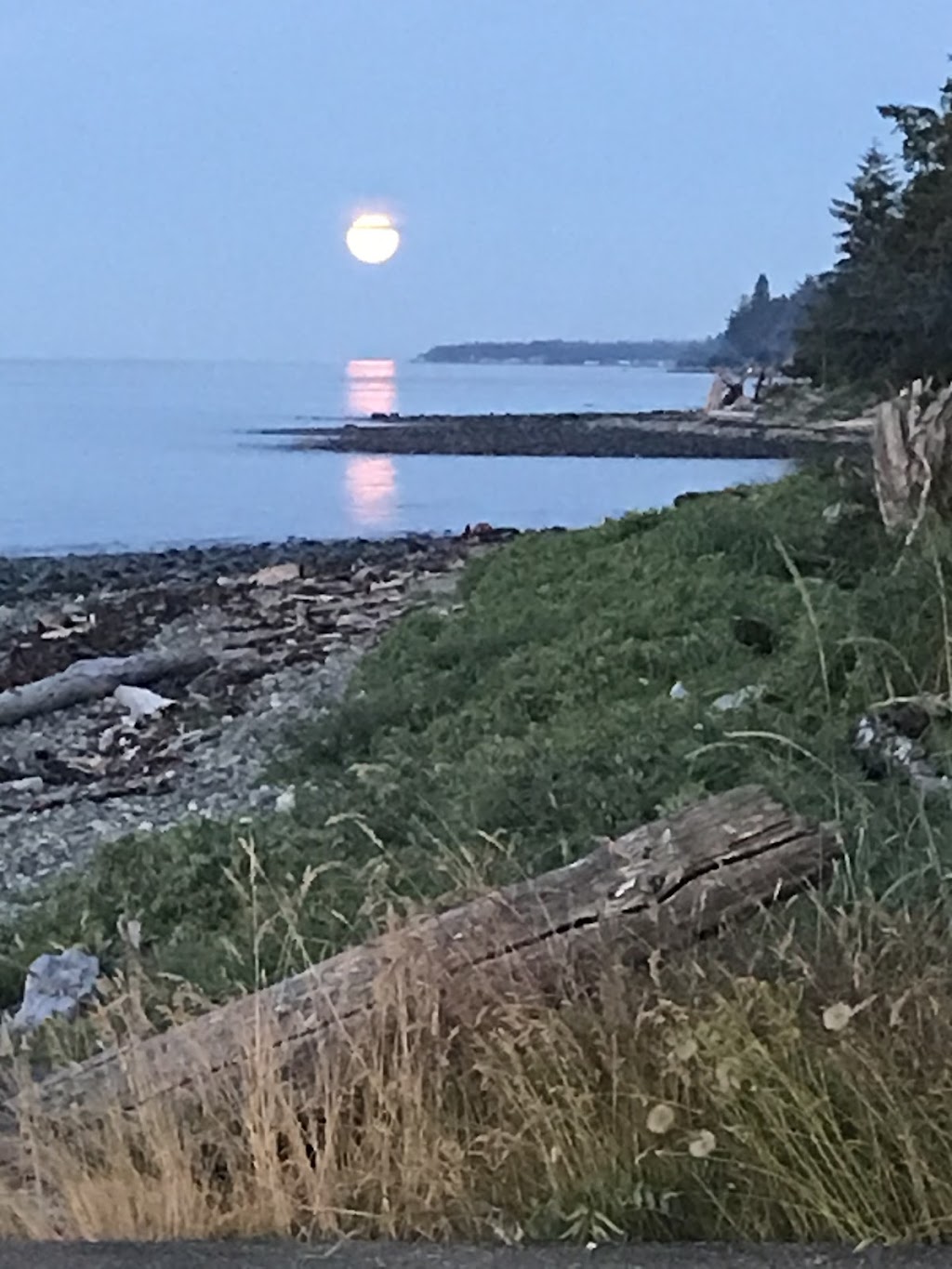 Kitty Coleman Beach Provincial Park | COLEMAN RD TO LEFT RD TO, 6120 Whitaker Rd, Courtenay, BC V9J 1V7, Canada | Phone: (250) 338-1332