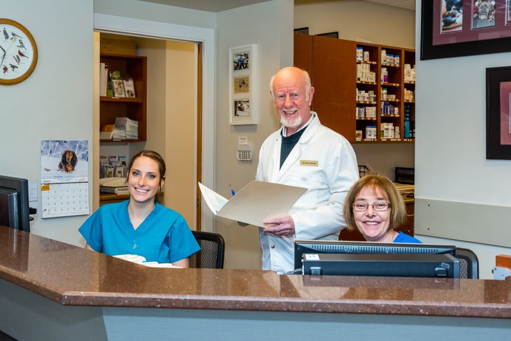 Brookswood Veterinary Hospital | 4059 200 St, Langley City, BC V3A 1K8, Canada | Phone: (604) 534-4174