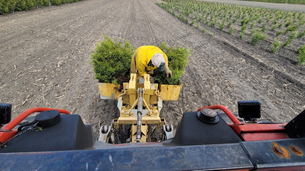 J & S Landscaping Inc. | 2768 Catherine St Unit B, Dorchester, ON N0L 1G4, Canada | Phone: (519) 872-5263