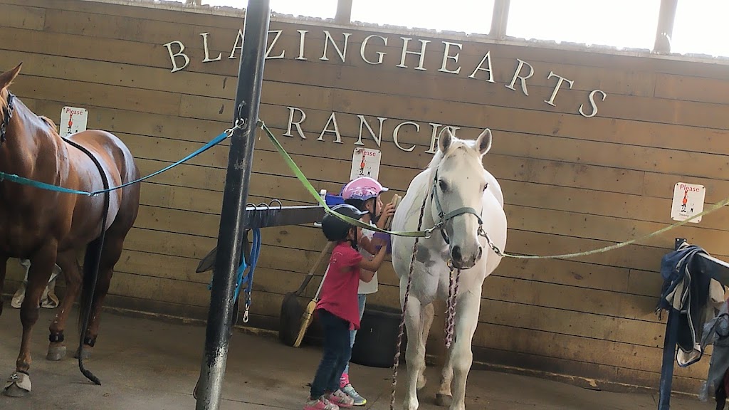 Blazing Hearts Ranch | 338060, Range Rd 284, High River, AB T1V 1N1, Canada | Phone: (403) 601-6723