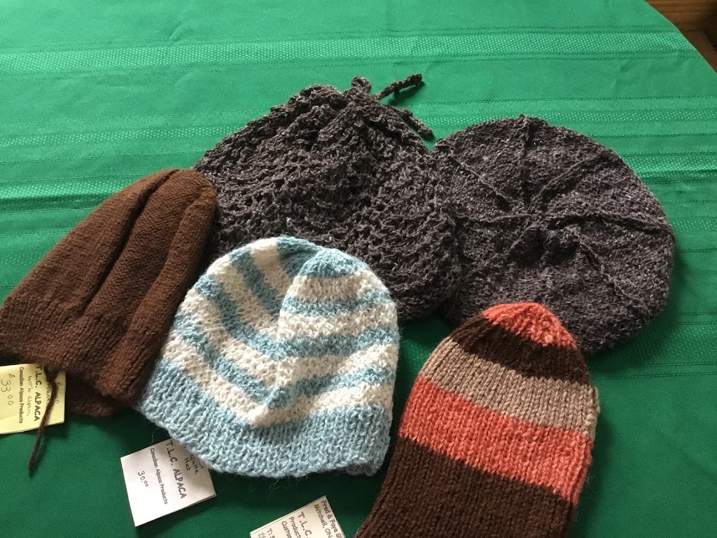 TLC Alpaca | 4616 Road 170, Mitchell, ON N0K 1N0, Canada | Phone: (519) 348-9112