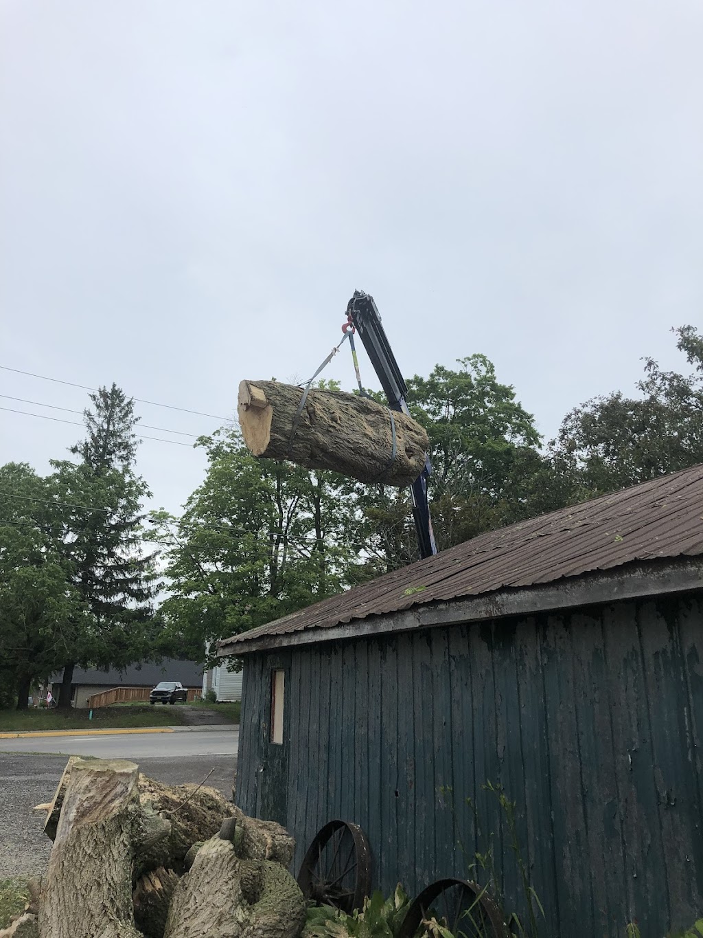 Govier Expert Tree Service | 43 Doxsee Ave S, Campbellford, ON K0L 1L0, Canada | Phone: (705) 559-0276