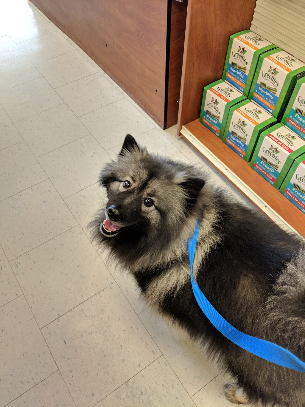 PetSmart | 600 Hespeler Rd Unit 68B, Cambridge, ON N1R 8H2, Canada | Phone: (519) 621-9696