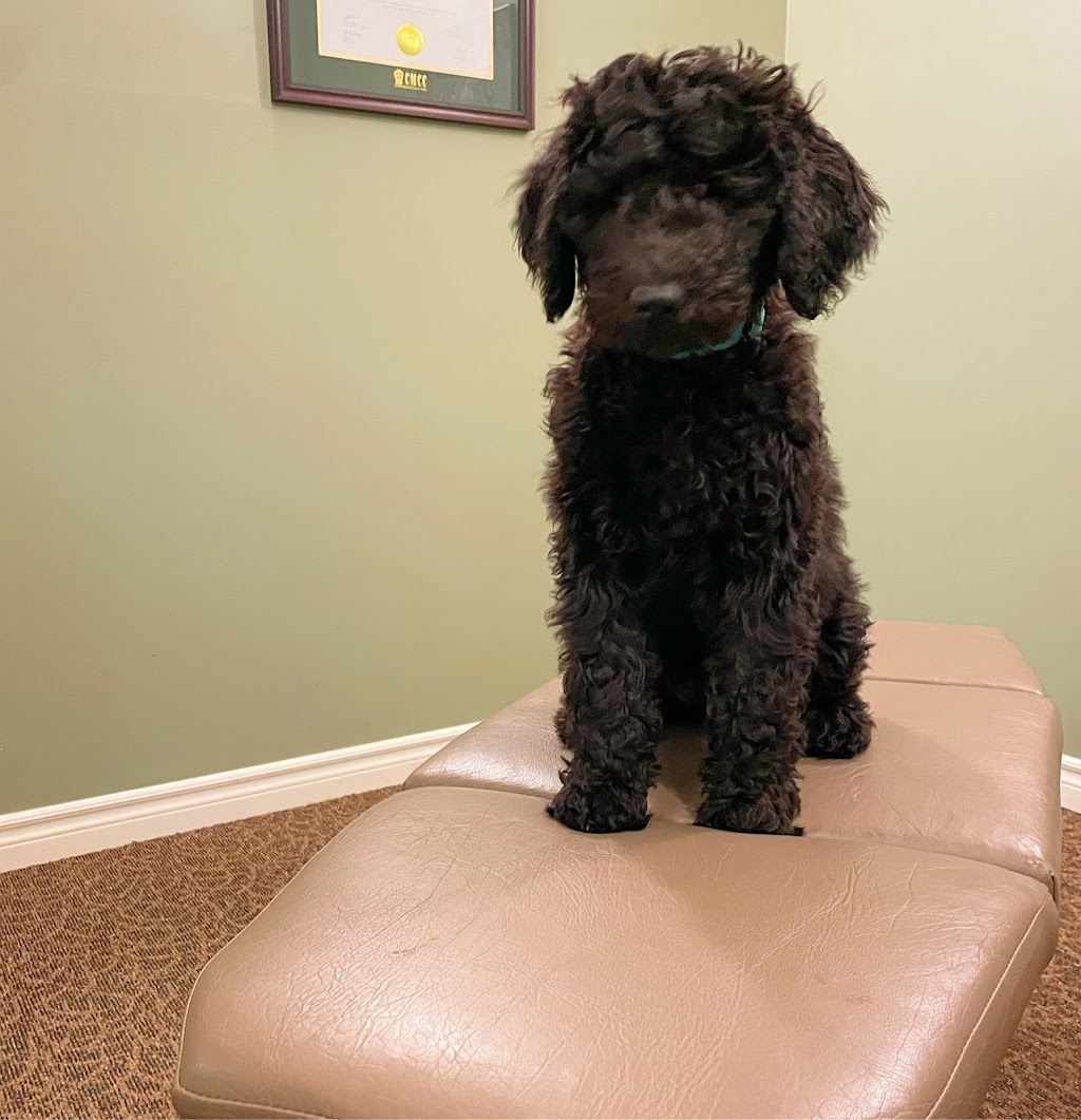 In-Stride Chiropractic & Rehab | 2802 Telford Line, Severn, ON L3V 6R1, Canada | Phone: (705) 805-0777