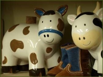 Every Little Thing | 130 Mountain St, Strasbourg, SK S0G 4V0, Canada | Phone: (306) 725-4350