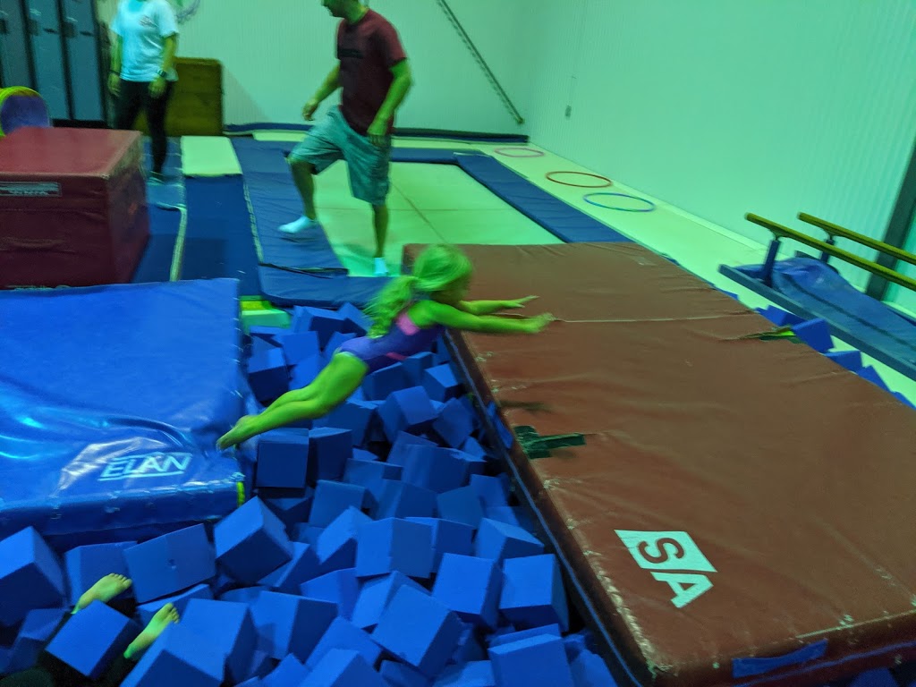Gemini Gymnastics | 1000 Stevenson Rd N, Hangar #3, Oshawa, ON L1J 5P5, Canada | Phone: (905) 576-2164