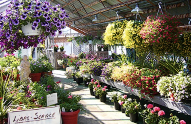 Domaine De LHorticulture De Chicoutimi Inc | 2030 Boul. Sainte-Geneviève, Chicoutimi, QC G7G 3W5, Canada | Phone: (418) 543-5120