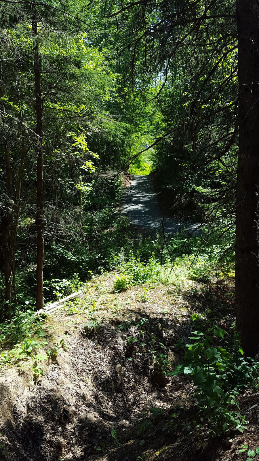 Shubenacadie River Adventure Tours | 10061 NS-215, South Maitland, NS B0N 2H0, Canada | Phone: (888) 878-8687