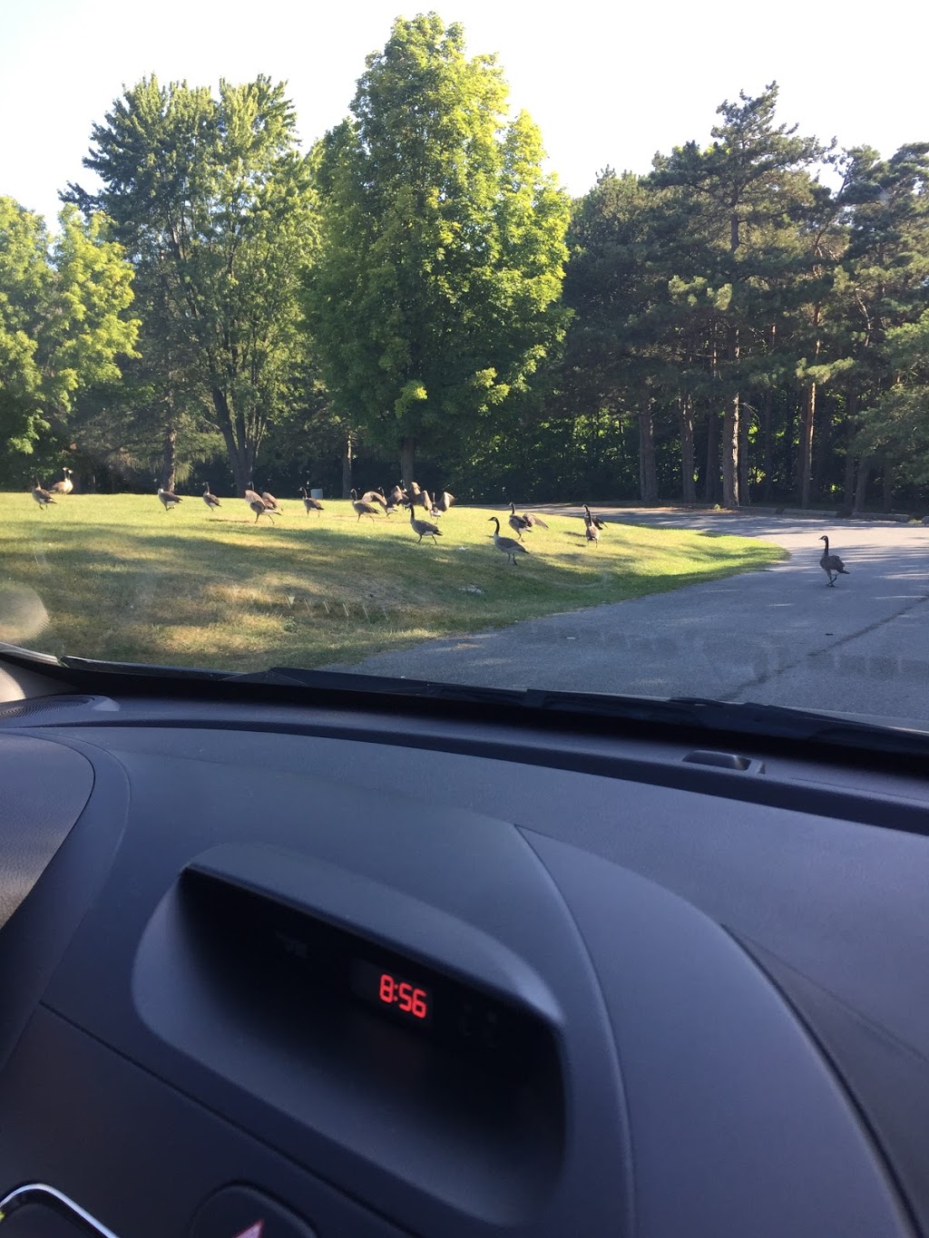 Glengarry Campground | 20800 S Service Rd, Lancaster, ON K0C 1N0, Canada | Phone: (800) 437-2233