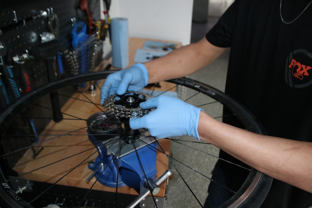 Hugo Velo | 22 Cr des Primevères, Verdun, QC H3E 1W9, Canada | Phone: (514) 434-7794