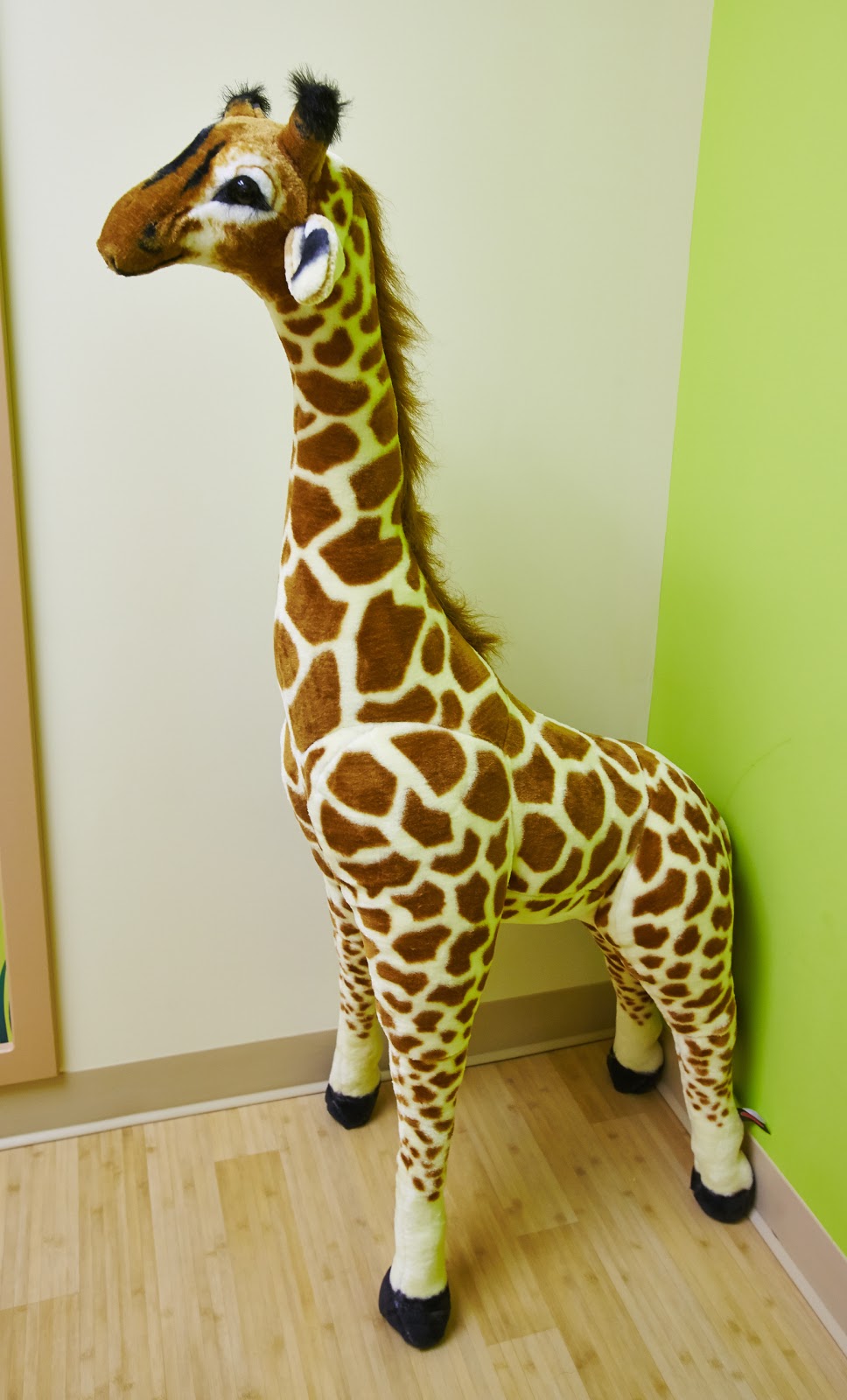 Safari Childrens Dentistry | 4021 Upper Middle Rd Unit 5, Burlington, ON L7M 0Y9, Canada | Phone: (905) 331-3031