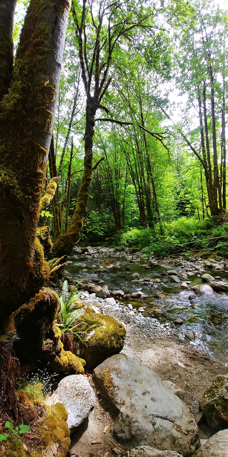 Holland Creek Trail Head | 374 Dogwood Dr, Ladysmith, BC V9G 1T5, Canada