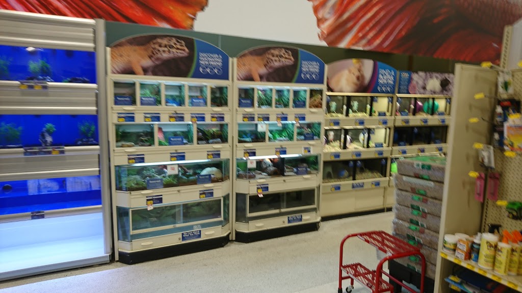 PetSmart | 86 Fanshawe Park Rd E, London, ON N5X 4C5, Canada | Phone: (519) 672-6149