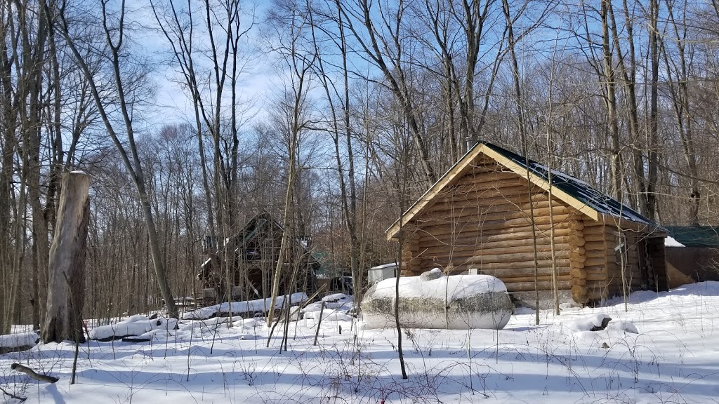Circle R Ranch | 3017 Carriage Rd, Delaware, ON N0L 1E0, Canada | Phone: (519) 471-3799