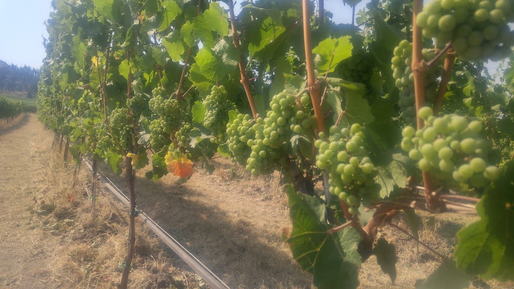 CedarCreek Estate Winery | 5445 Lakeshore Rd, Kelowna, BC V1W 4S5, Canada | Phone: (778) 738-1020