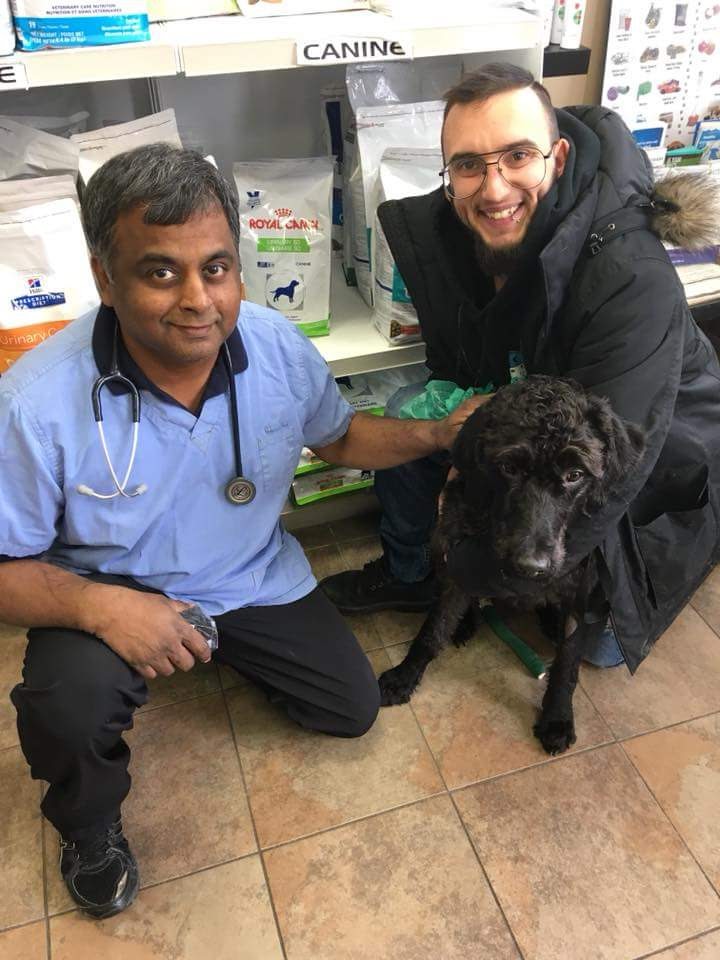 Forestbrook Pet Hospital | 1105 Finch Ave, Pickering, ON L1V 1J7, Canada | Phone: (905) 831-1118