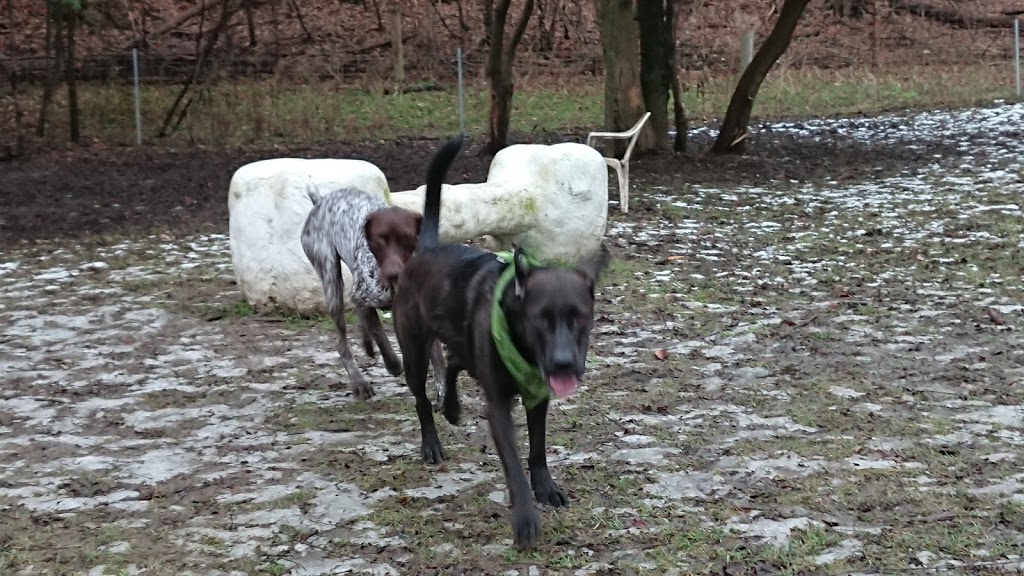 Greenway Off Leash Dog Park | Southcrest, London, ON N6J, Canada | Phone: (519) 661-4980