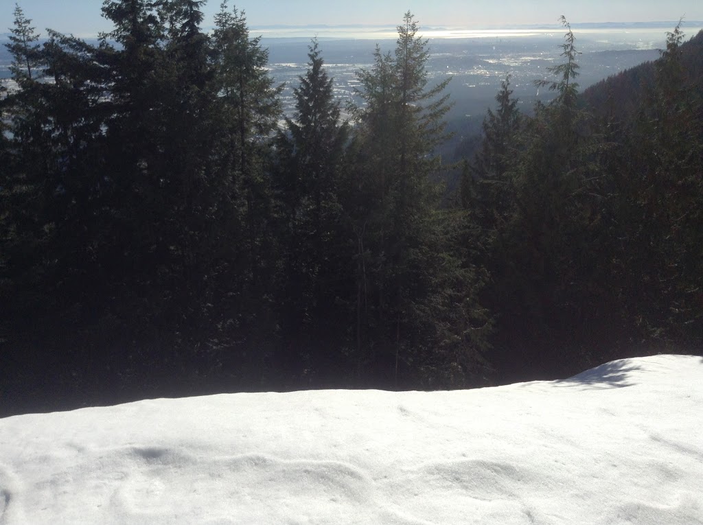 Munro Lake Trail Lookout | Coquitlam, BC V3E 3H1, Canada