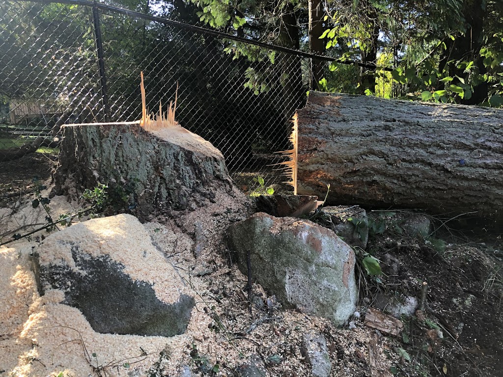 Nick Landscaping & Tree-Cutting Service Ltd | 12138 95a Ave, Surrey, BC V3V 1P8, Canada | Phone: (778) 855-3400