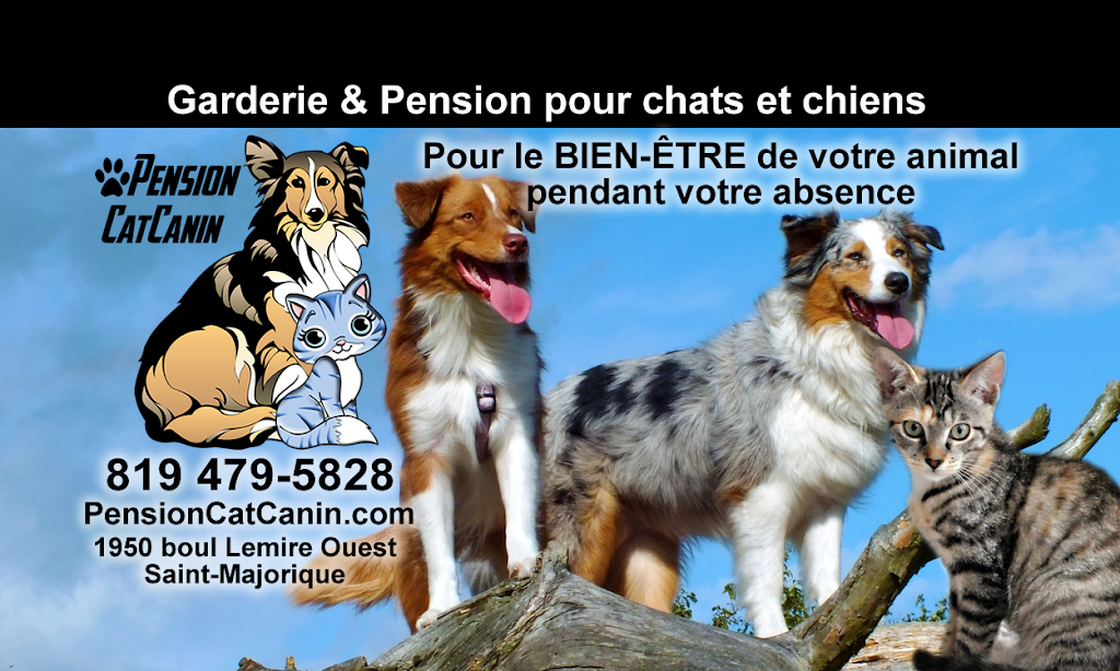 Pension CatCanin | 1950 Boulevard Lemire O, Saint-Majorique, QC J2B 8A9, Canada | Phone: (819) 479-5828