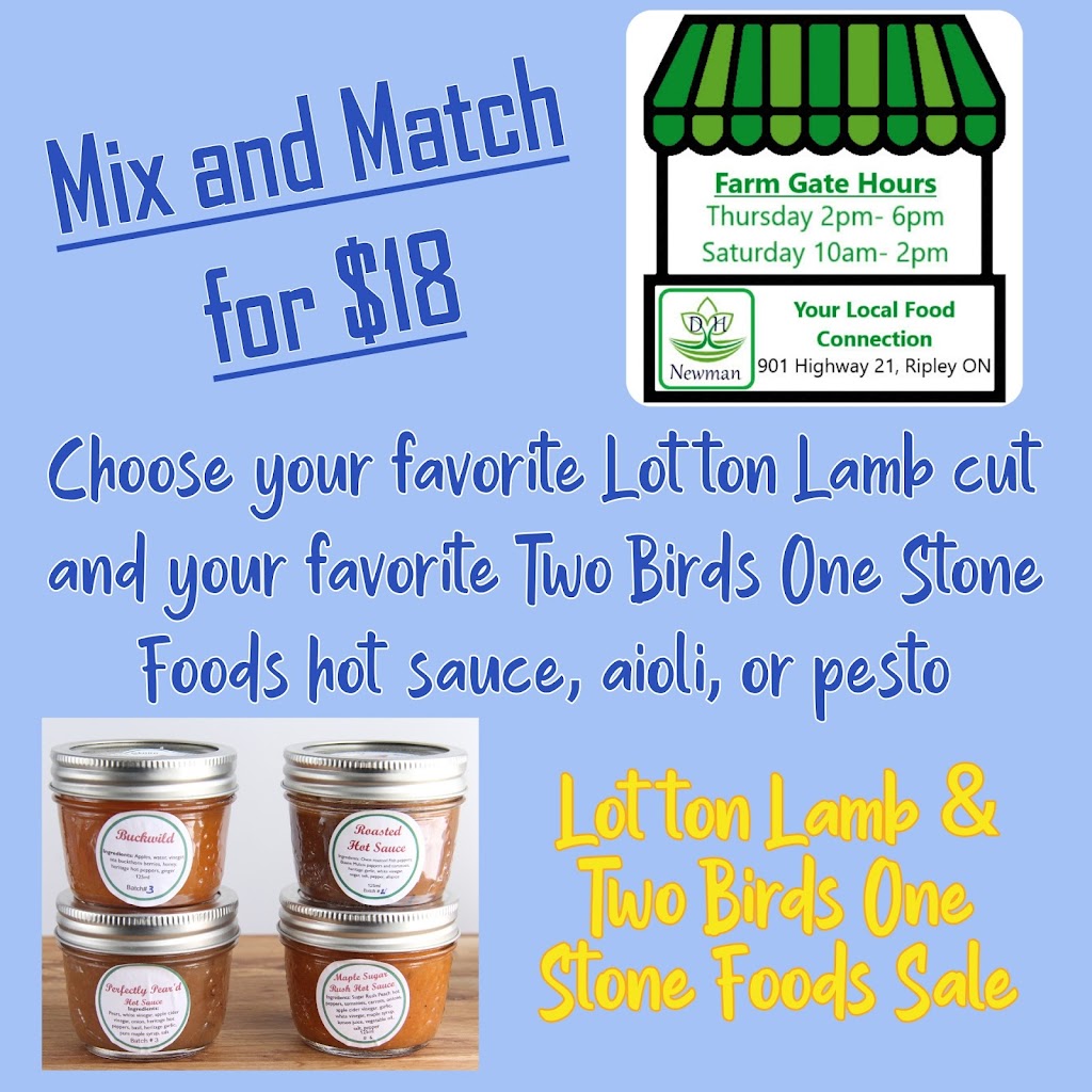 Two Birds One Stone | 901 ON-21, Kincardine, ON N2Z 2X3, Canada | Phone: (226) 222-1469
