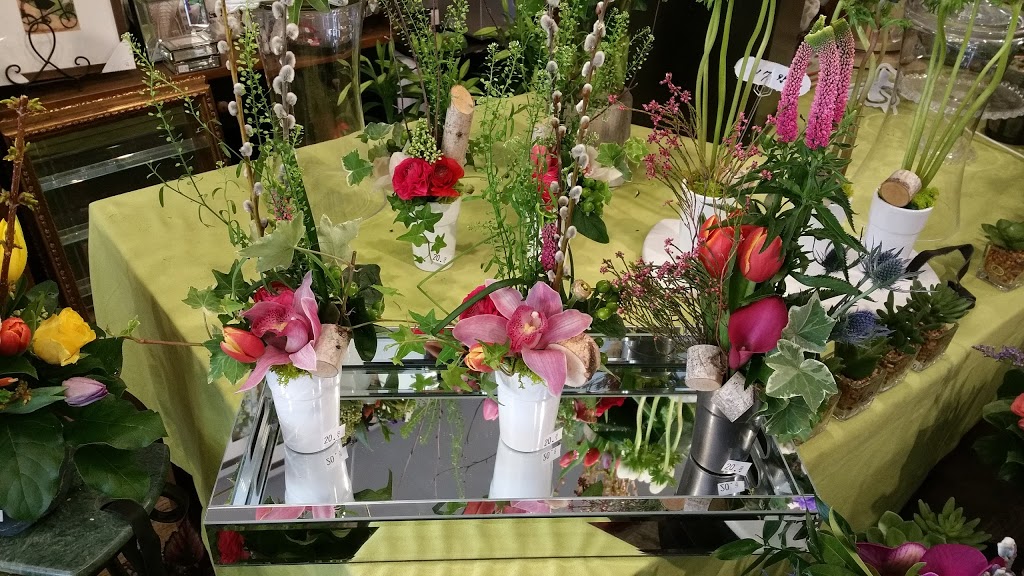 Ashbourne Flowers and Gifts | 3888 Bloor St W, Etobicoke, ON M9B 1L3, Canada | Phone: (416) 231-5351