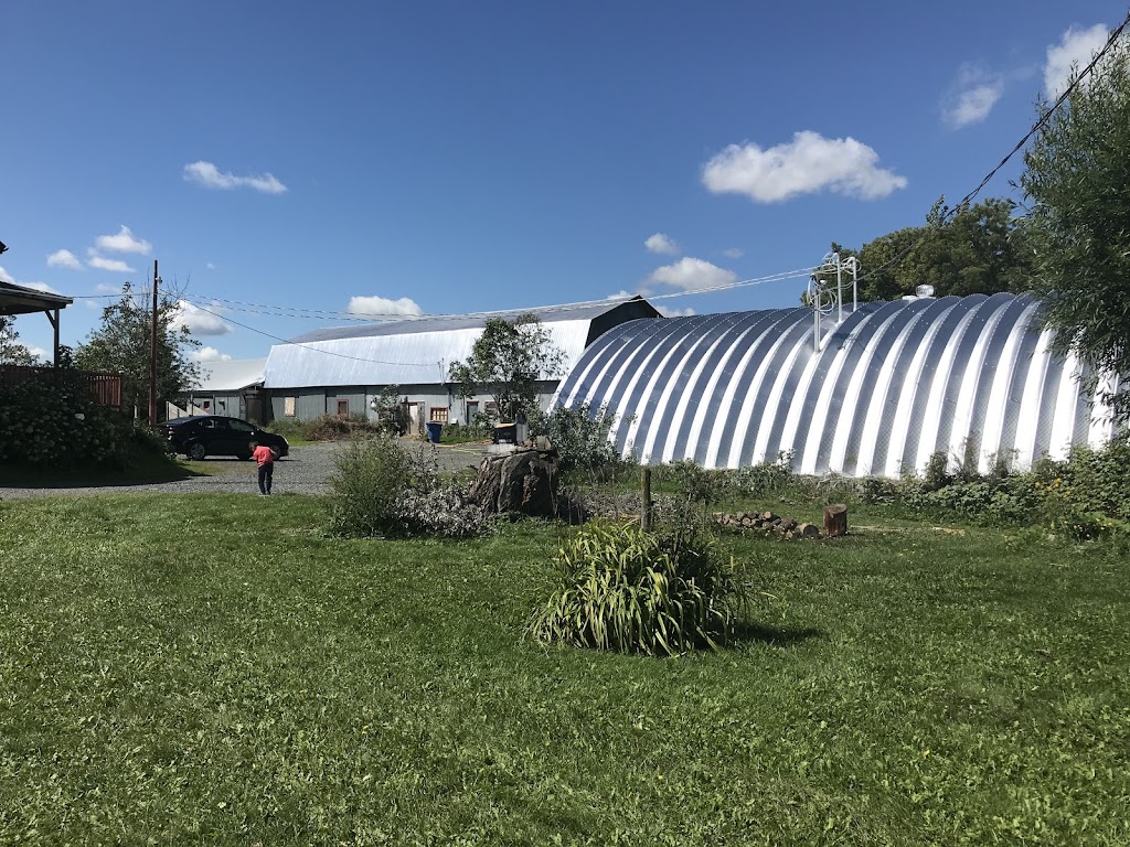 Veau de grain- Joan Amoro | 440 10e Rang, Saint-Wenceslas, QC G0Z 1J0, Canada | Phone: (780) 340-2446