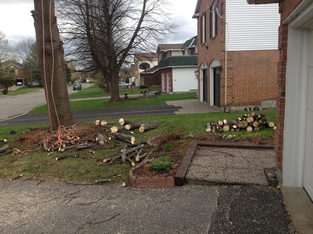 Nicholls Tree and Lawn Service Inc | 6109 Heritage Park Crescent, Orléans, ON K1C 7G8, Canada | Phone: (613) 882-3873